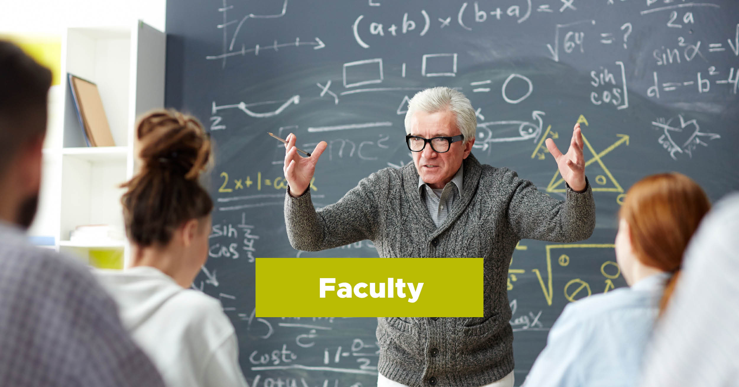Faculty and Research Opportunities