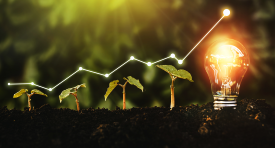 Understanding the Innovation & IPR Landscape